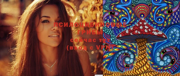ECSTASY Ладушкин