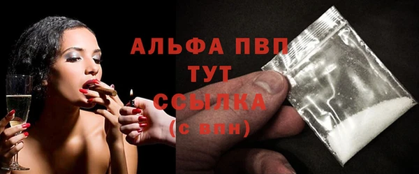 ECSTASY Ладушкин