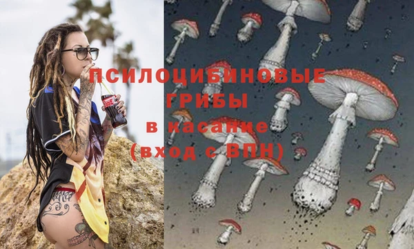 марки lsd Пионерский