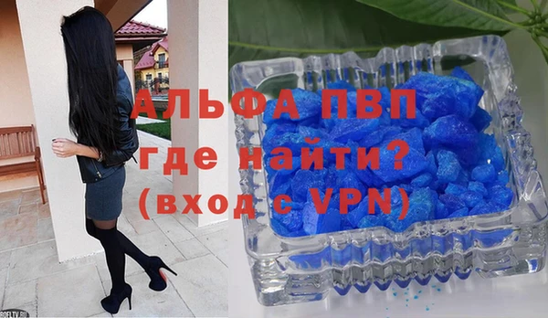 ECSTASY Ладушкин