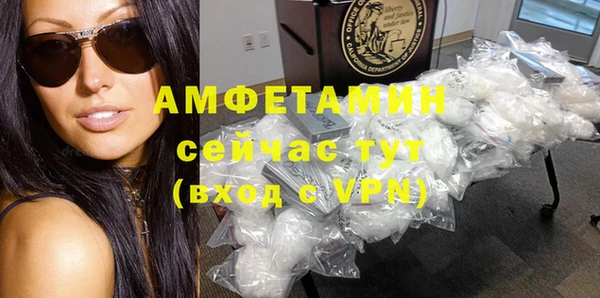 гидра Лагань