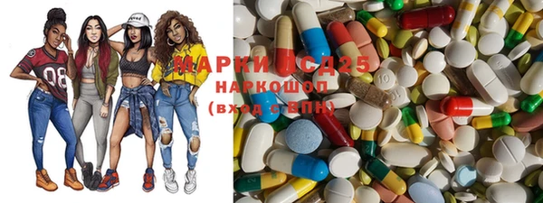 ECSTASY Ладушкин