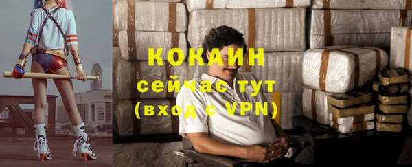 ECSTASY Ладушкин