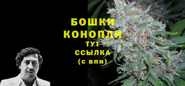 гидра Лагань