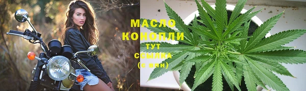 гидра Лагань