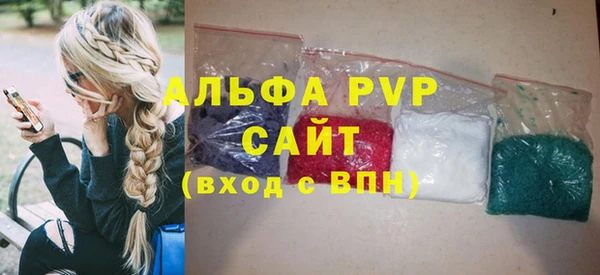 ECSTASY Ладушкин